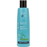 GRoN BIO Anti-dandruff Pure Elements 250 ml - Prírodný šampón