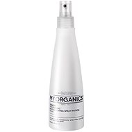 WE. ORGANICS The Organic Restructuring Spray Potion 250 ml - Hair Styling Spray