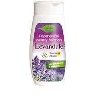 BIONE COSMETICS Bio Levanduľa Regeneračný šampón 260 ml - Šampón
