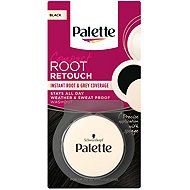 SCHWARZKOPF PALETTE Root Retouch Black 3 g - Hair Dye