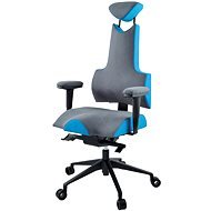 Therapia iENERGY L 6650 gray / St. Blue - Office Chair