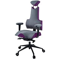 Therapia iENERGY L 6650 gray / tm. Purple - Office Chair