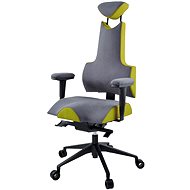 Therapia iENERGY L 6650 gray / tm. green - Office Chair