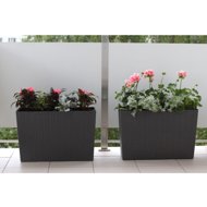 LAMELA WERBERATEN chest, 190 × 560 mm, graphite - Flower Box