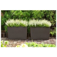 LAMELA WERBERATEN chest, 190 × 560 mm, black - Flower Box