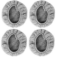 AERIUM Replacement mopping cloth for Dewis R480, 2 pairs - Replacement Mop