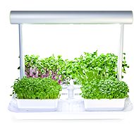 Microgreens by Leaf Learn Mini - Smart Flower Pot