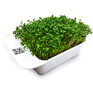 Microgreens by Leaf Learn watercress - Seedling Planter