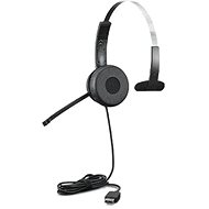 Lenovo LENOVO 100 MONO USB HEADSET - Headphones
