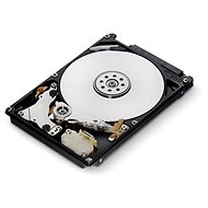 Lenovo LENOVO 500GB HD 7200 SATA F/ M600/M700 TINY - Hard Drive