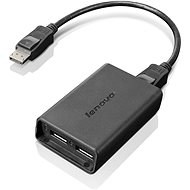 Lenovo LENOVO DP TO DUAL-DP CABLE - Video Cable