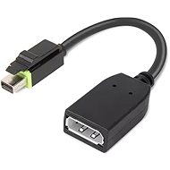 Lenovo TS MINI DP TO DP ADAPTER F/ THINKSTATION - Video Cable