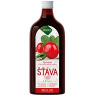 Leros Functional Rosehip Juice + 4 Herbs 500ml - Juice