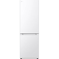 LG GBV3100ASW - Refrigerator