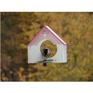 KikiTiki Bird feeder on a pink window - Bird Feeder