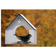 KikiTiki Bird feeder on a blue window - Bird Feeder