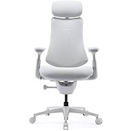 LiberNovo Omni Pro Glacier 48cm - Office Chair