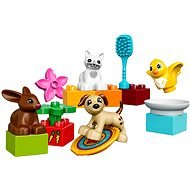 LEGO Duplo 10838 Haustiere - Bausatz