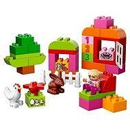 LEGO DUPLO 10571 LEGO DUPLO All-in-One-Pink-Box-of-Fun - Building Set