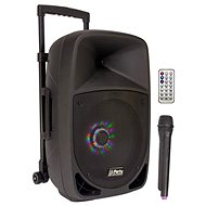 PARTY Light&Sound P12LPARTY12LED - Speaker