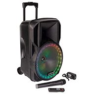 PARTY Light&Sound PARTY15RGB - Speaker