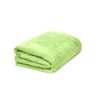 TEXTILOMANIE Microflannel blanket Violet 150 × 200 cm light green - Blanket