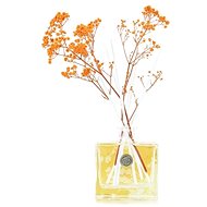 ASHLEIGH & BURWOOD Life In BloomOragne Blossom & Mandarin 150 ml - Tyčinkový difuzér