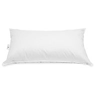 DAUNENSTEP AIRELLA specially treated polyester in cotton cover, 70 x 90 cm - Pillow