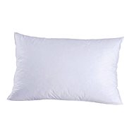 CHRISTIAN FISCHBACHER AROSA goose down feather, soft, 50 x 70 cm - Pillow