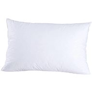 CHRISTIAN FISCHBACHER NEUCHATEL goose down feather, stiff, 70 x 90 cm - Pillow