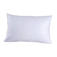 CHRISTIAN FISCHBACHER WENGEN goose down feather, medium stiff, 40 x 80 cm - Pillow