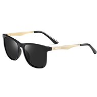 NEOGO Noreen 2 Matt Black Gold / Black - Sunglasses