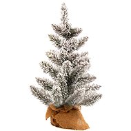 LAALU Christmas tree DELUXE Viola in pot different variations - Christmas Tree