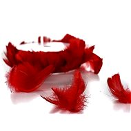 LAALU Feathers on wire red 6 m - Garland