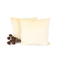 Set of cream cushions 2 x 40 cm - Pillow