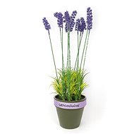 Flowerpot with lavender 43 x 13 cm - Decoration