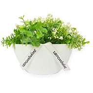 Oval box with eucalyptus white 19 x 24 cm - Decoration