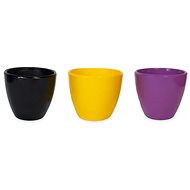 Set of 3 pots: 6,5 cm mini mix pots - Flower Pot