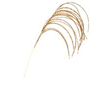LAALU Christmas decoration - flower with overhangs, gold, 100 cm - Christmas Decoration