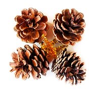 LAALU Christmas decoration - natural pine cones, 5 cm, 4 pcs - Christmas Decoration