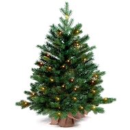 LAALU Christmas tree in pot with LED light - fir tree BERNARD, 60 cm - Christmas Tree