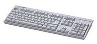 Samsung SDL 2500 PS/2 - Keyboard