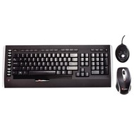 Labtec Wireless Desktop 1200 CZ - Keyboard and Mouse Set