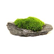 DENNERLE Aegagropila Slate Rock 8 × 6 × 3cm - Aquarium Decoration