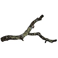 HOBBY Cork Branch Decoration 90cm - Aquarium Decoration