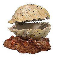 MACENAUER dekorace Mušle 12 cm - Aquarium Decoration