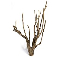 MACENAUER Talawa Wood XL root, 80–100cm, 1 pc - Aquarium Decoration