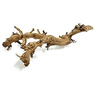 MACENAUER kořen vinné révy 81207 - Aquarium Decoration