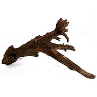 MACENAUER Mangrove Root, Large 35–60cm - Aquarium Decoration