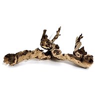MACENAUER Mopani Wood Large 1 pc - Aquarium Decoration